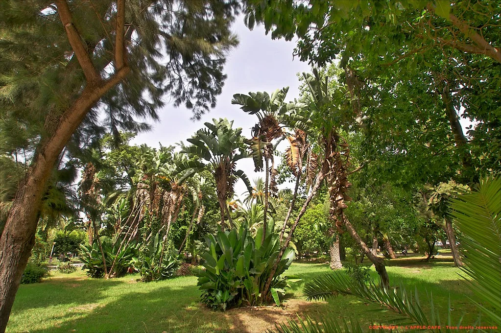 Jardin Nouzhat Hassan - photo 1